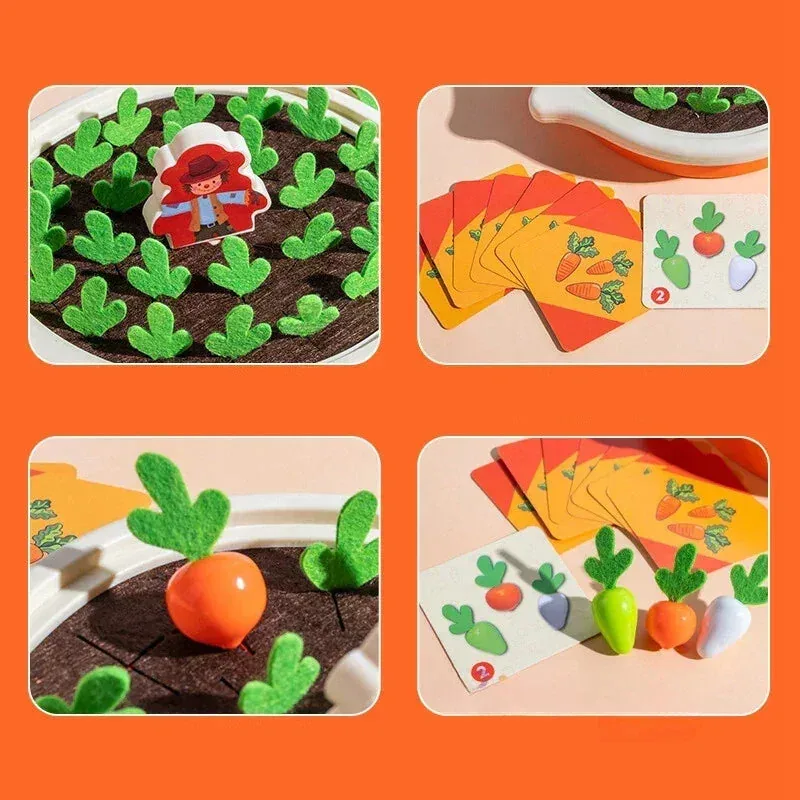 Cenouras Montessori — imagem 9